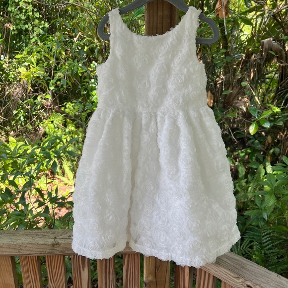 Janie and Jack Rosette Party Dress size 4T